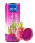 Sok DRAGON FRUIT Smoczy Owoc gazowany 320ml Greppo BEZ CUKRU